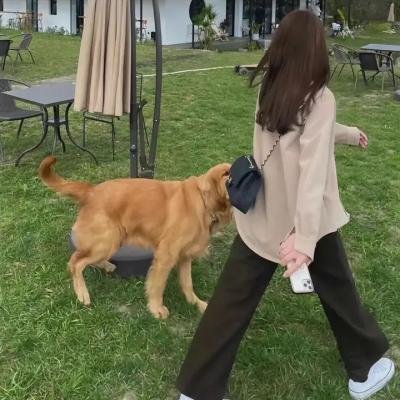 购物惊魂记