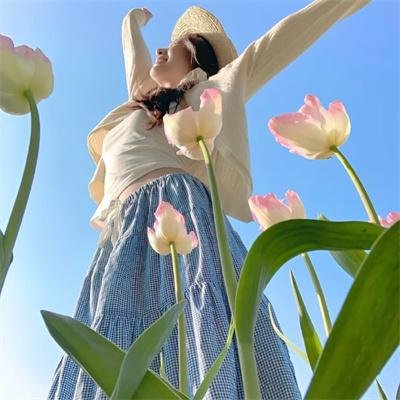 奈何寨主不好当